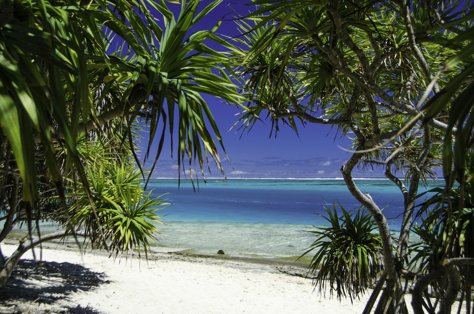Pristine white-sand beach and turquoise water at Mystery Island, Vanuatu